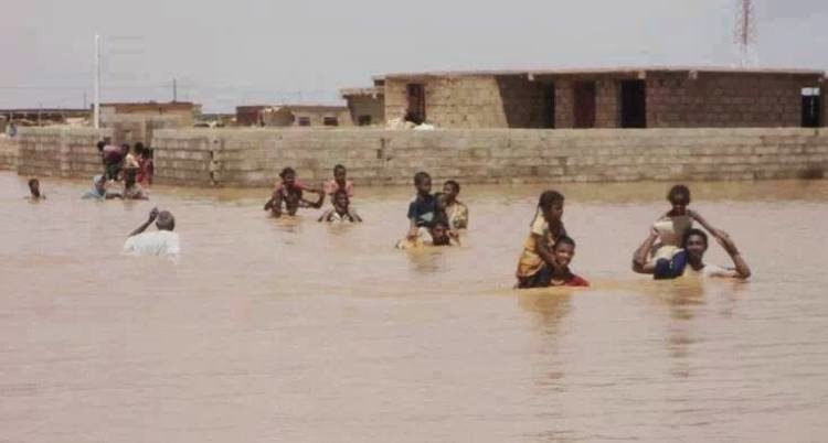 خسائر،السيول،الامطار،بربر،نهر النيل،شمال السودان،مزارع،الحصاد