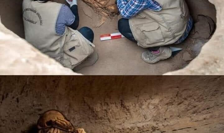العثور على موميا عمرها 800 عام مقيدة بالسلاسل في واقع صادم