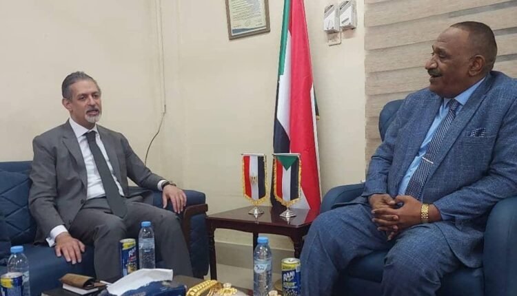 وزير الطاقة السوداني يكشف تطورات جديدة عن الربط الكهربائي مع مصر